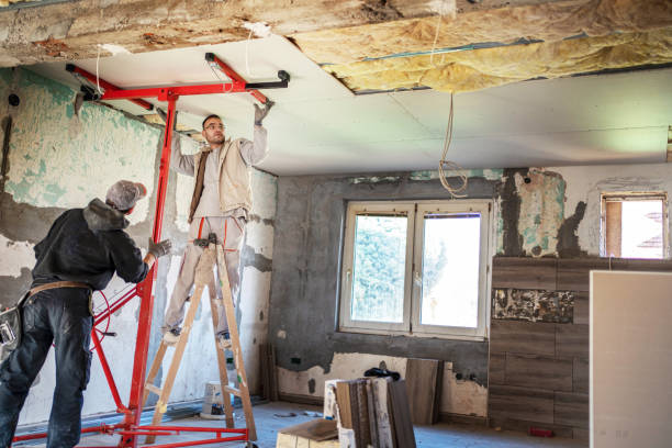 Best Insulation Replacement Services  in Lexington, OH